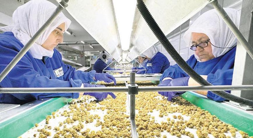 500 büyük şirketin 111’i gıda işliyor