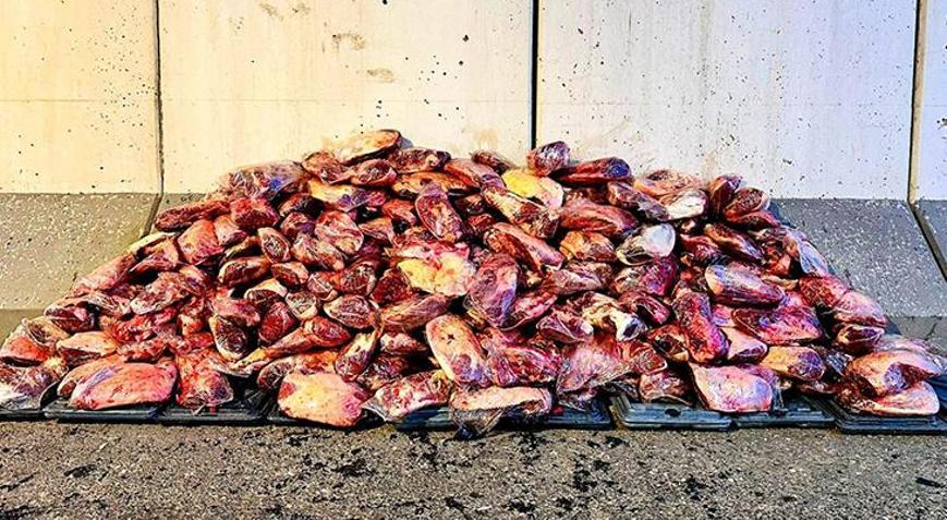Tabağımıza gelmeden yakalandı! Mide bulandıran görüntü