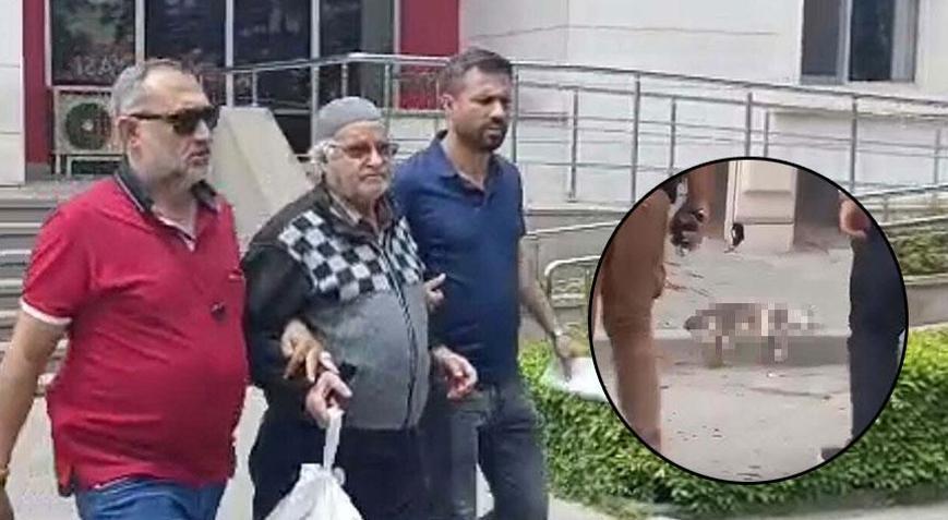 Savcılık itiraz etti! Sokak kedisini pompalı tüfekle öldüren şüpheli hakkında flaş karar