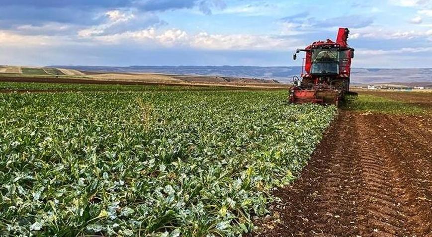 Bakanlık duyurdu: Çiftçilere destek ödemesi yatırılacak