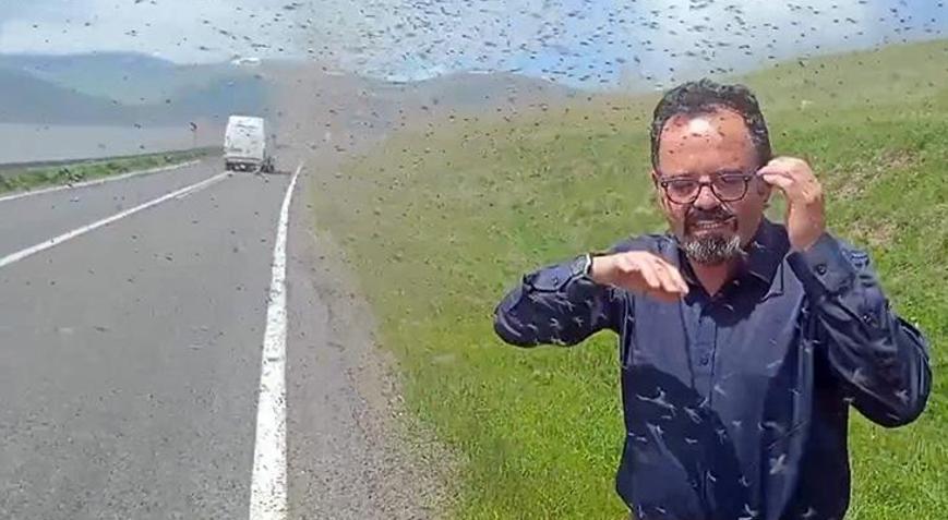 Bir anda sinek sürüsünün içinde kaldılar! Kentte ürküten istila