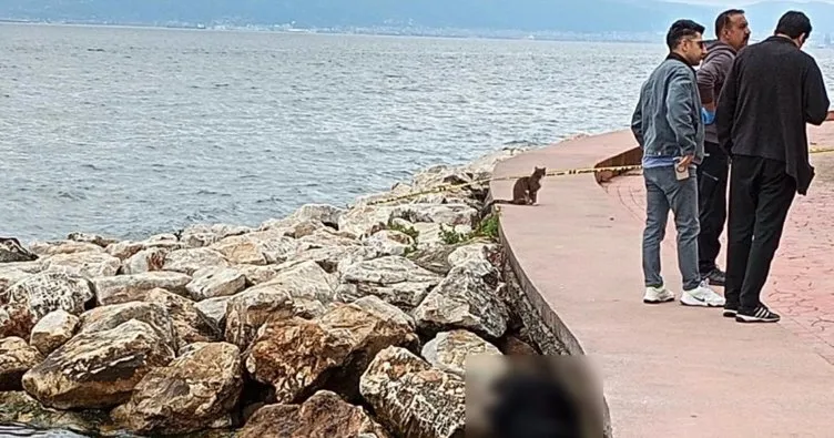 Kocaeli’de sır olay: Sahildeki kayalıklarda erkek cesedi bulundu!