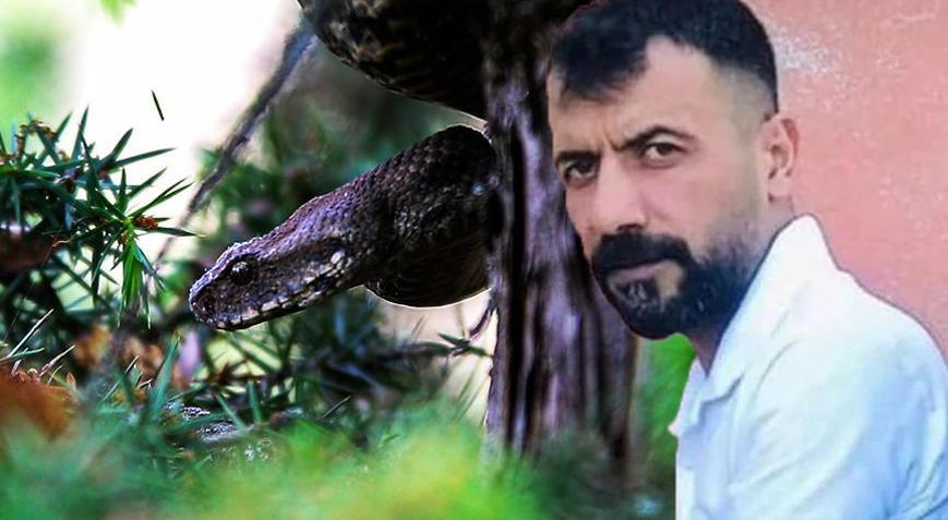 Diyarbakır’da yılan dehşeti! Hayvanları otlatan çoban can verdi