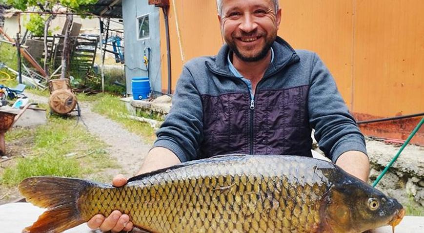 Şaşkına çeviren olay! Tarlada 7 kiloluk sazan yakaladı