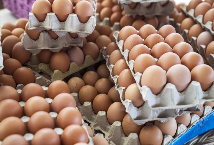 Mayısta en fazla zam posta hizmetlerine, en büyük düşüş yumurtada