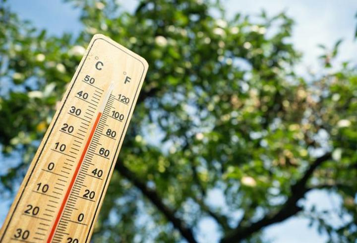 Kurban Bayramı’nda hava nasıl olacak? Meteoroloji’den 5 günlük tahmin