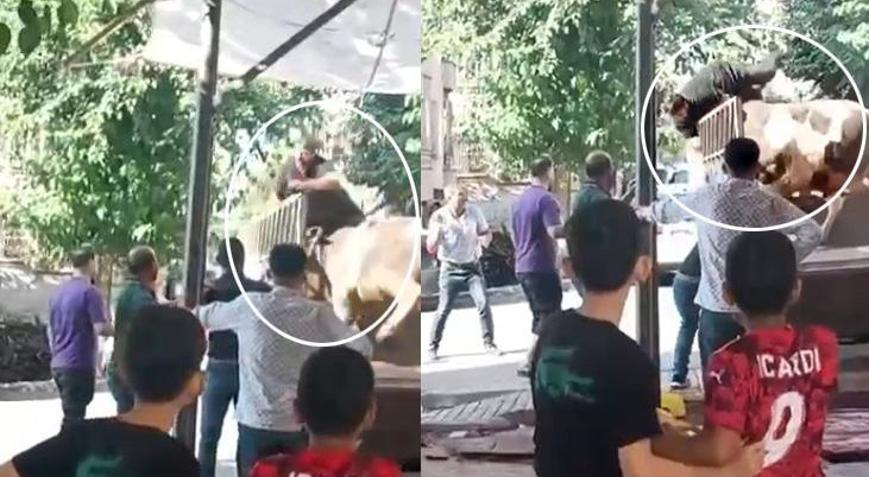 Kızgın boğa kasaba dehşeti yaşattı!