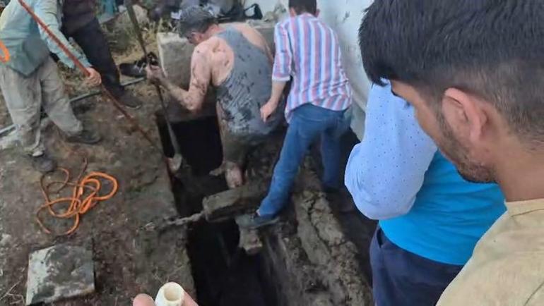 Bağını koparıp kaçan boğa foseptik çukuruna düştü
