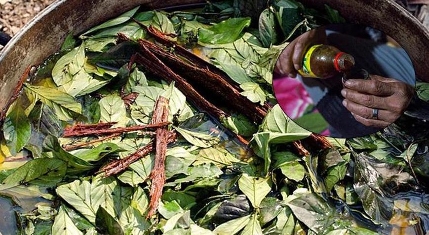 Prens Harry’nin de içtiğini söylediği Ayahuasca çayı, bir turistin ölümüne yol açtı!
