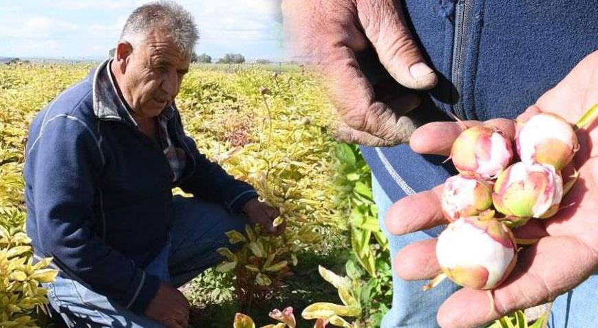 Gurbetçiye büyük şok! 13 yıllık emeği bir gecede yok oldu