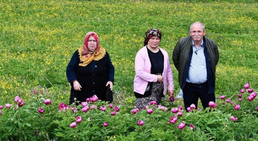 Dokunmak yasak! Bedeli yarım milyon
