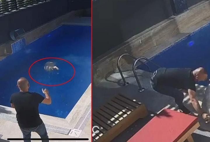 Kurban Bayramında gülümseten manzara! Kaçak koç havuzda bulundu