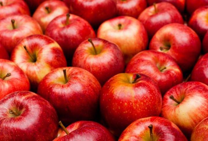 Elma Besin Değerleri Nedir? Elma Kaç Kalori İçerir, İçerisinde Hangi Vitaminler Vardır?