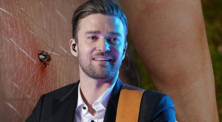 Kalpten beyne yayılan kene tehdidi! Justin Timberlake de listede: ‘İlk sinyal yorgunluk’