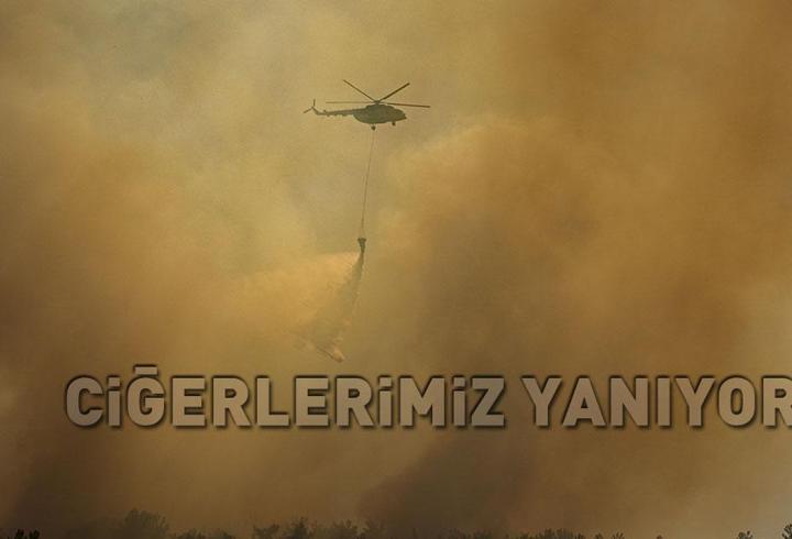 SON DAKİKA | Çanakkale, Muğla, İzmir, Malatya, Bursa…! Ciğerlerimiz yanıyor, alevlerle mücadele sürüyor