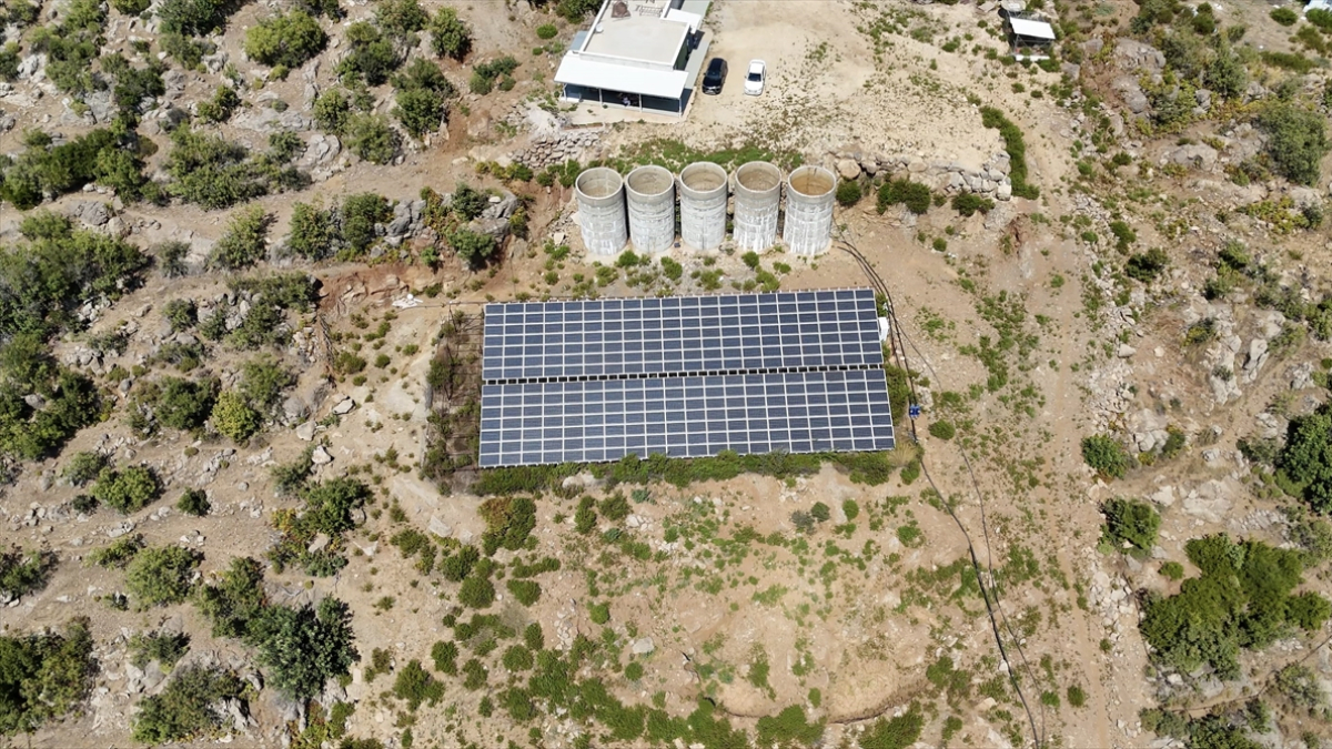Antalya’da tropikal meyve bahçesi ve güneş enerjisi yatırımı bir arada