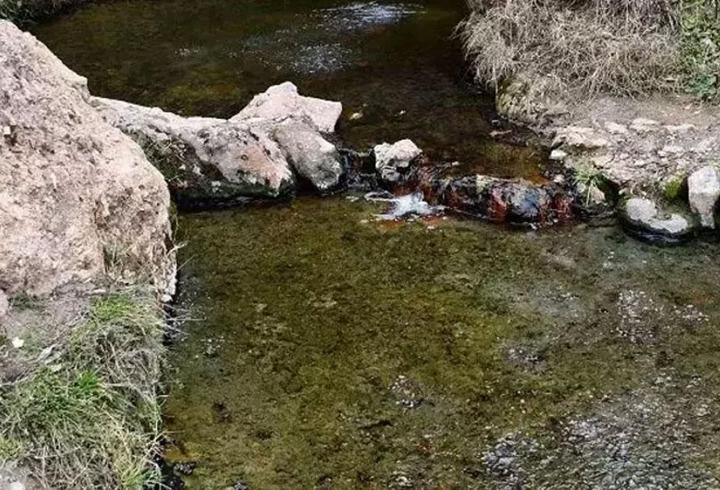 ‘Şifalı’ denilen su can aldı! Talihsiz çiftin acı sonu…