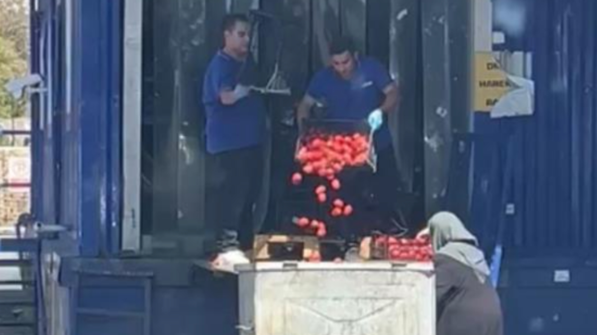İstanbul’daki zincir market çalışanları onlarca kilo domatesi çöpe döktü