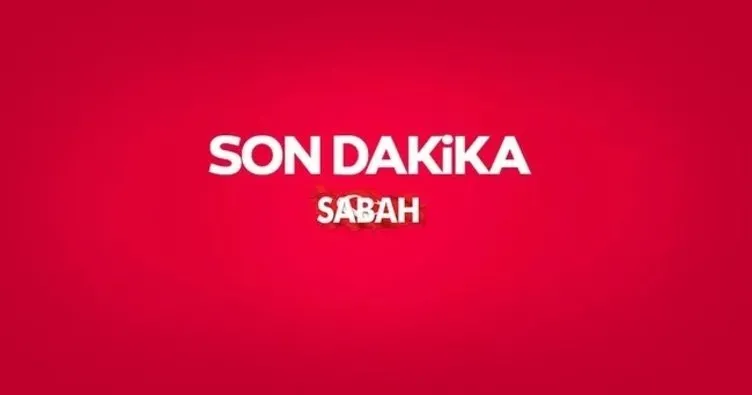 Türkiye, Suriye Hükümetinin alacağı her türlü tedbire destek verecektir