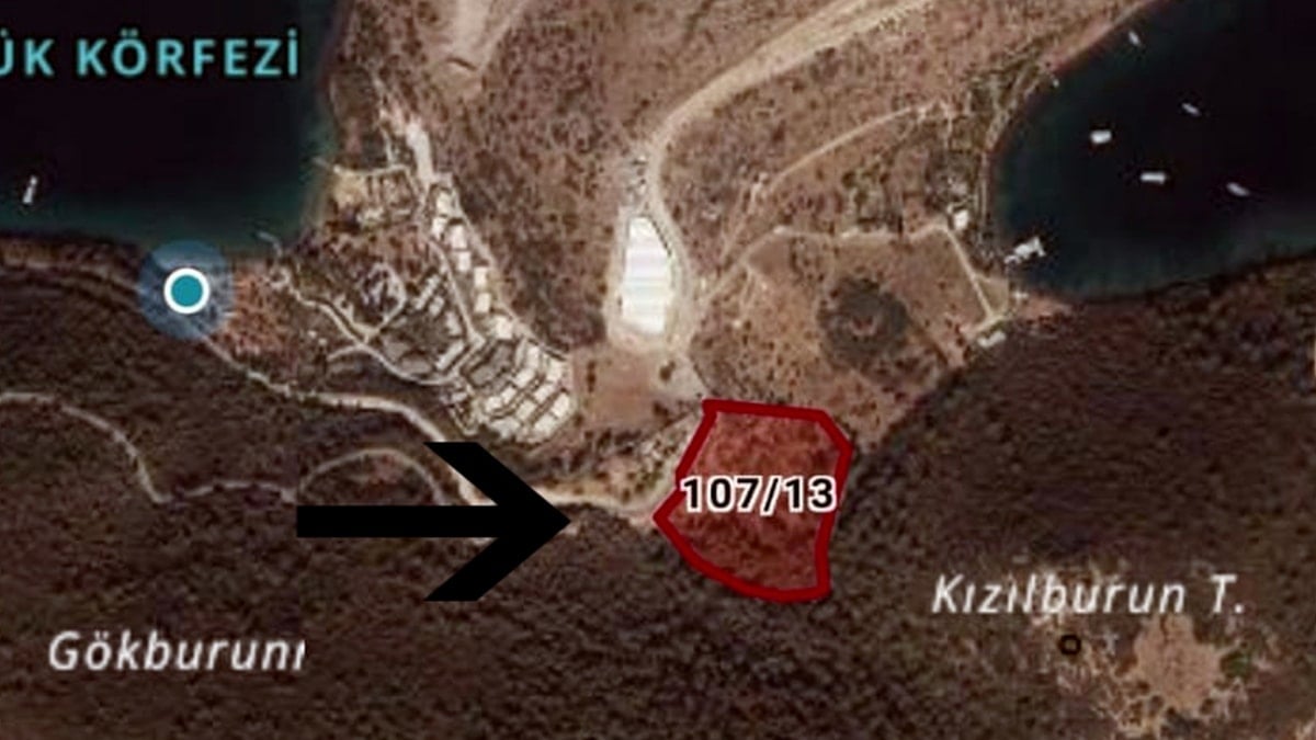 Cennet koyda yeni bir katliam projesi daha