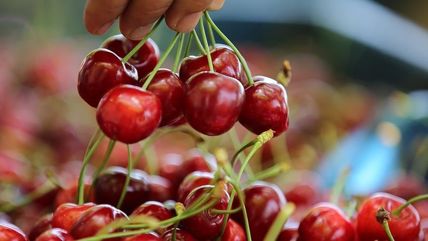 1000 TL’ye satılan kiraz Türkiye’ye 4 bin kilometre uzakta daha ucuz