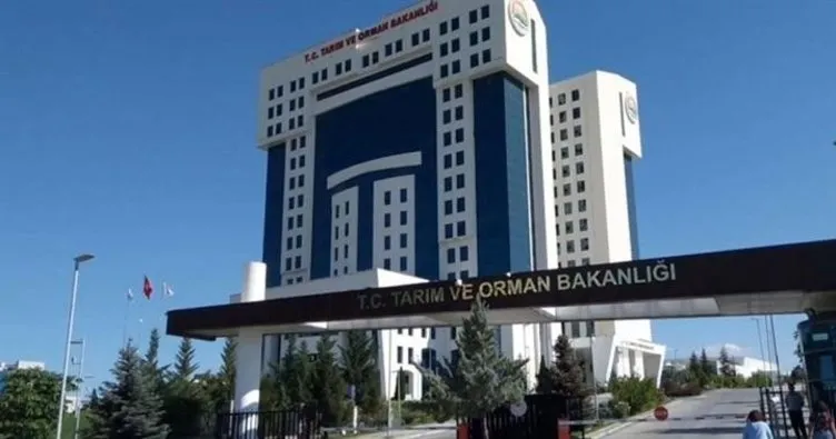 Krema ve kaymak üretimine yeni standartlar getirildi
