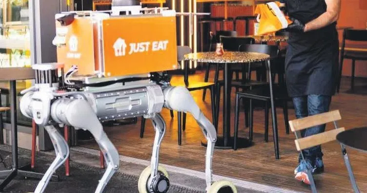 Robot köpekler teslimata başladı