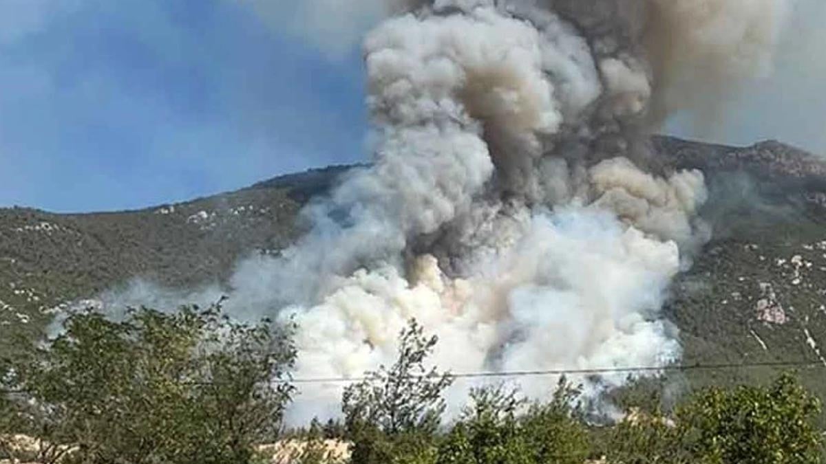 Denizli’de yangın paniği! Alevler ormanlık alanda sıçradı
