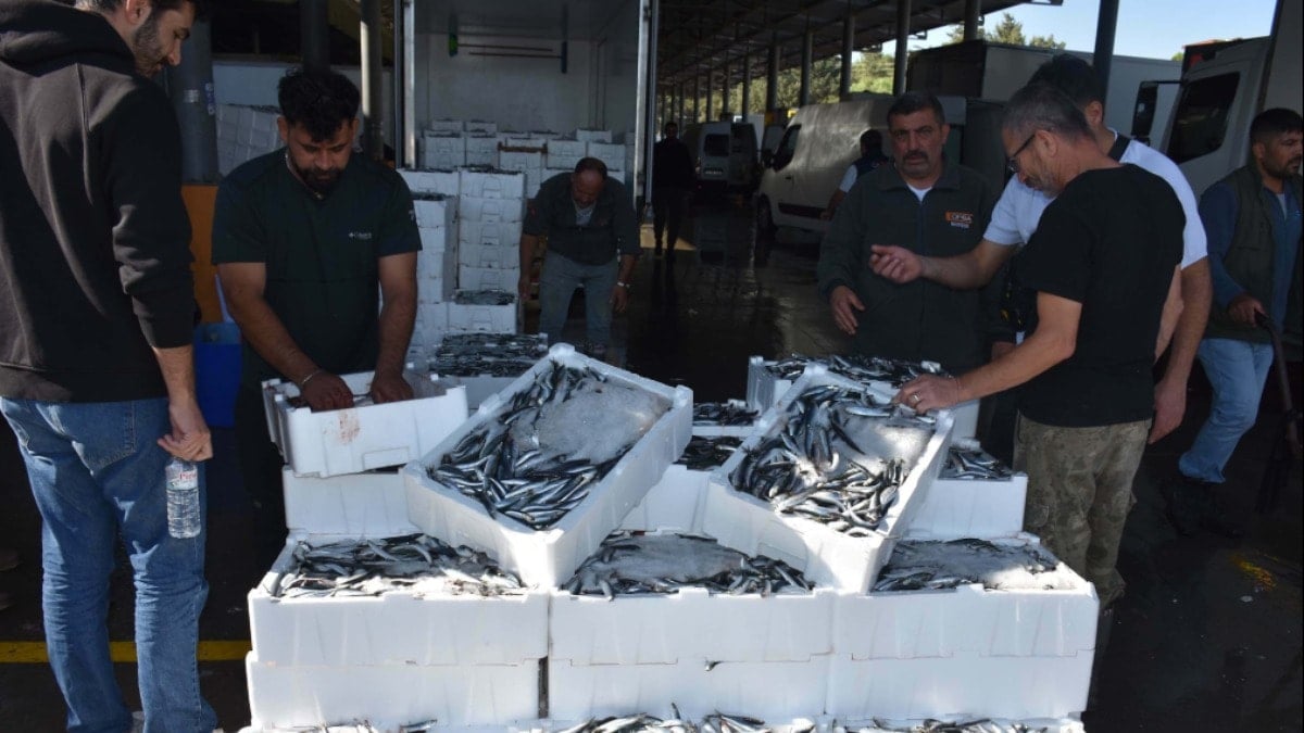 Kilosu 50 liraya kadar düştü: Haberi alan tezgaha koştu