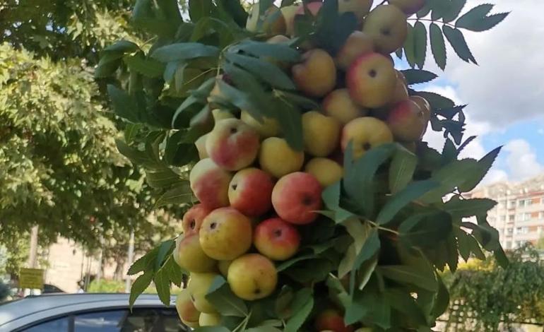 Kilosu 300 TL Grip, nezle ve soğuk algınlığından koruyor Öksürük ile boğaz tahrişine karşı doğal destek