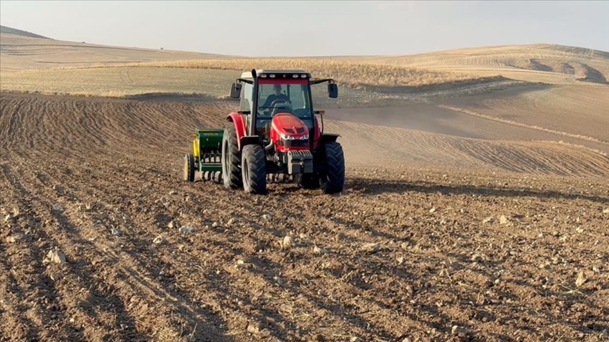 Kuraklık nedeniyle Yozgat’ta buğday ekimi kasım ayına sarktı