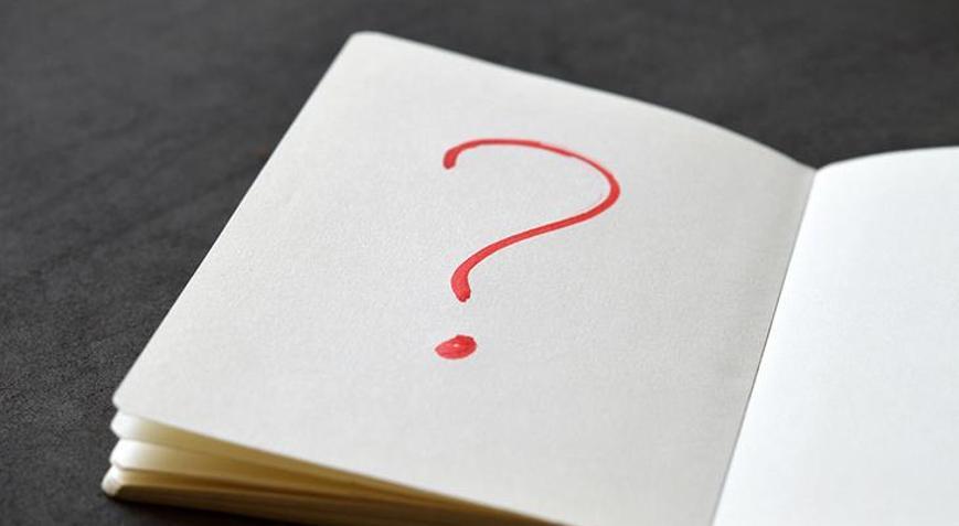 Ponçik Ne Demek, Ne Anlama Gelir? Ponçik Kelimesi Hangi Durumlarda Kullanılır?