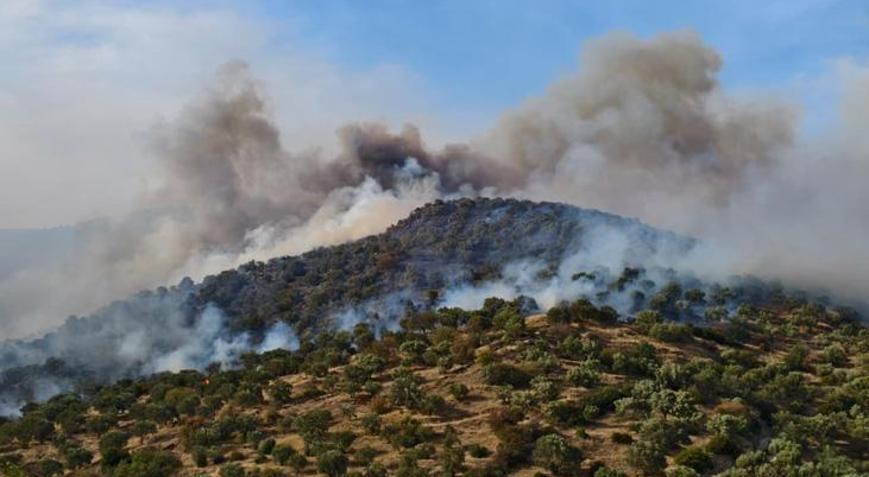 Aydın’da ziraat alanında çıkan yangın ormana sıçradı