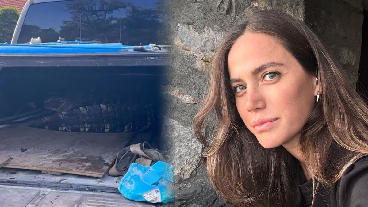 Ünlü oyuncunun sitesinde timsah yakalandı