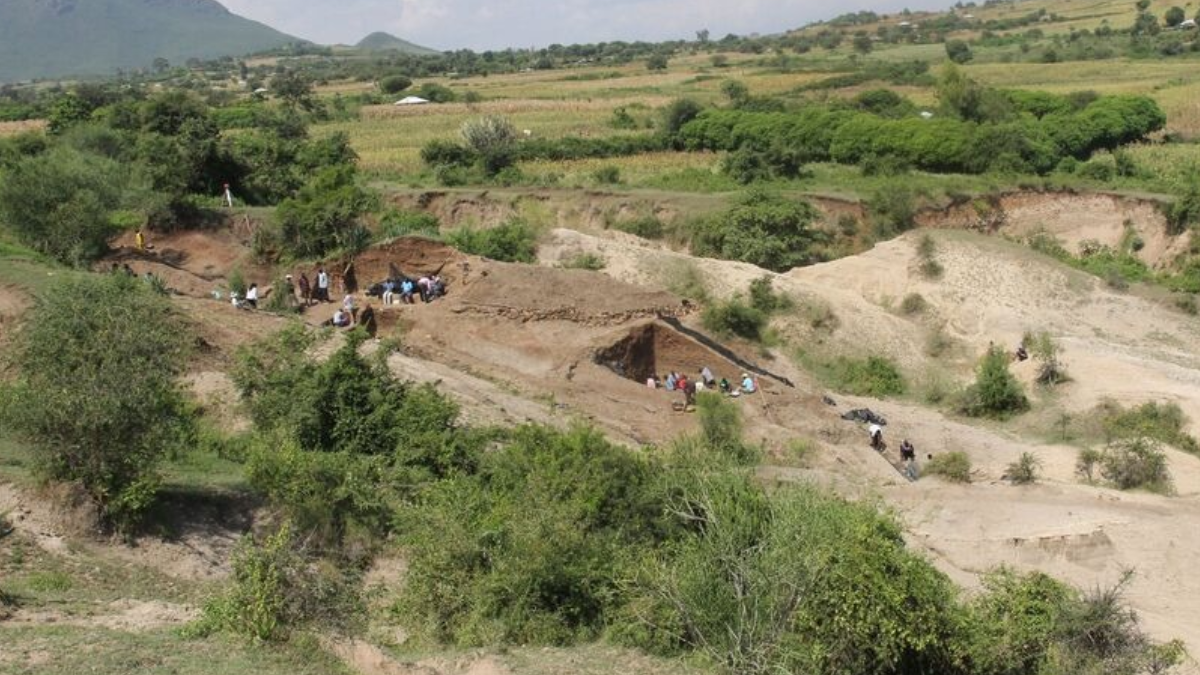 İnsanlık tarihini değiştirecek DNA’a keşfedildi