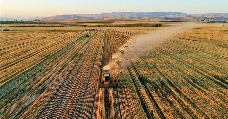 Çiftçinin ekim ayı enflasyonu belli oldu