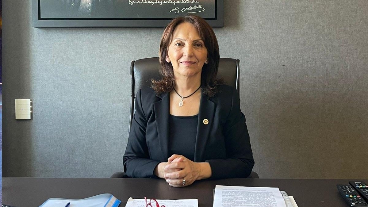 CHP’li Ersever’den İstanbul Valiliği’nin sokak hayvanları genelgesine sert tepki