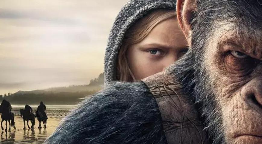 Maymunlar, insanlardan milyonlarca yıl önce öpüşüyormuş