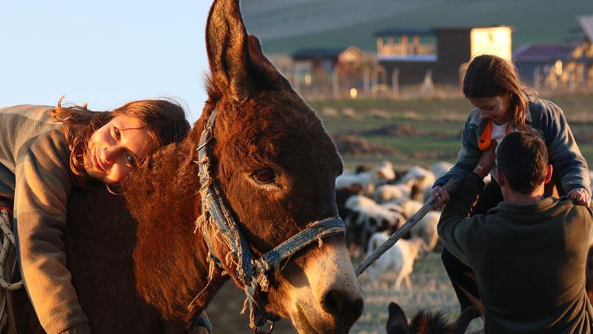 9 yaşında bir çoban! İşte küçük Ayşe’nin en büyük hayali: ‘Hayvanları çok seviyorum’