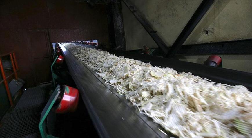 Muş ve Van’daki fabrikalarda 76 bin 10 ton şeker üretimi hedefleniyor