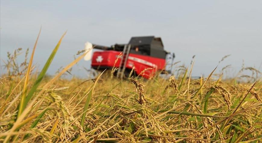 Üreticilere 4,2 milyar lira hasar tazminatı ödendi