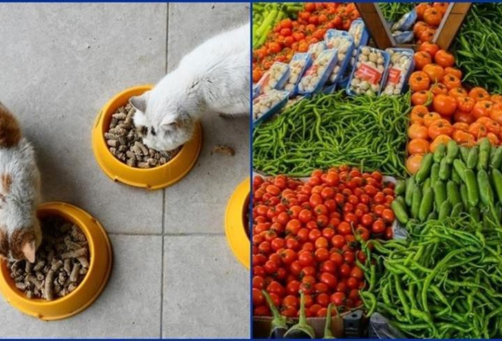 Kasım ayında fiyat artışlarında zirve evcil hayvan ürünlerinde
