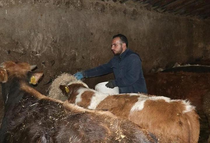 Ağrılı genç girişimci, 250 bin lira hibeyle kendi hayvancılık işini kurdu