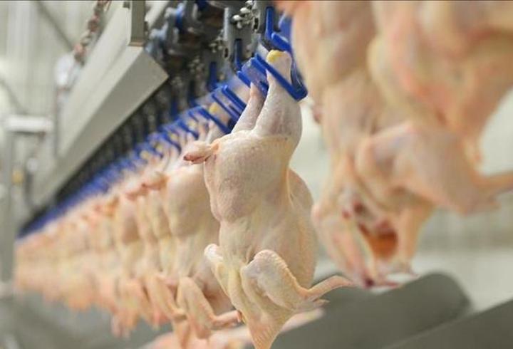 BESD-BİR, tavuk eti zehirlenmelerine karşı uyardı