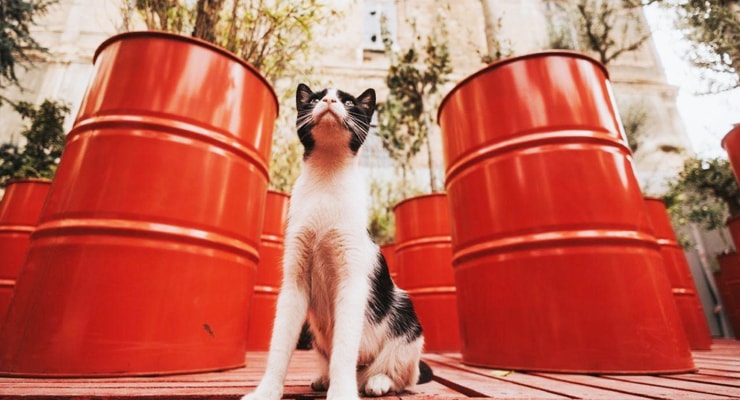 18. İstanbul Bienali sergilerini görmek için son günler