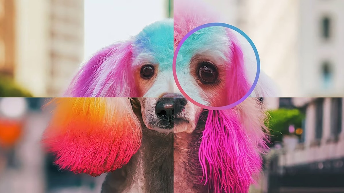 Google’dan kritik hamle: Gemini ile yapay zeka görsellerini anında tespit ediyor!