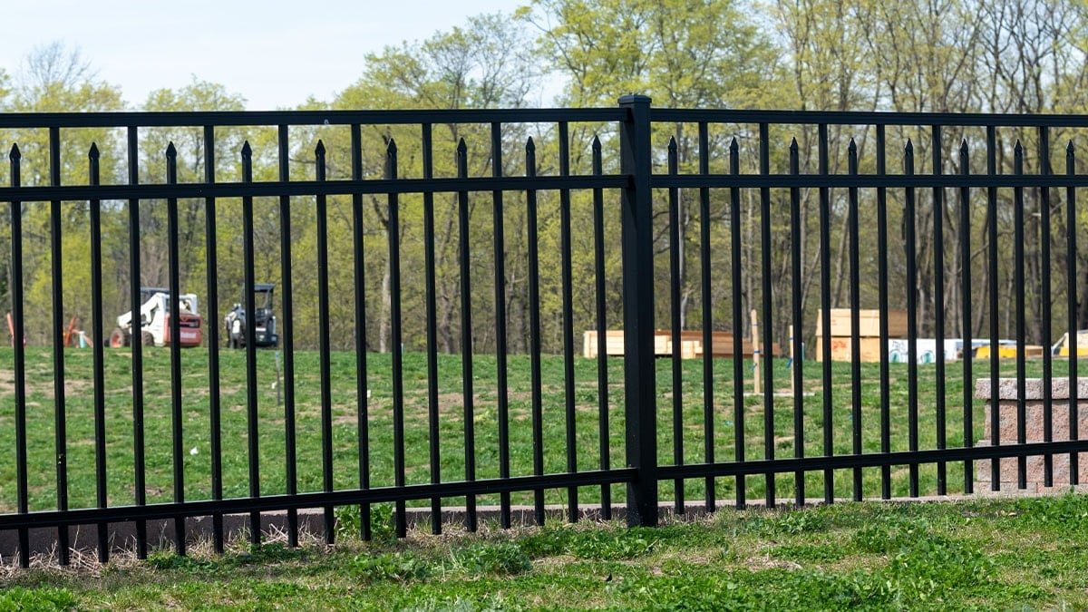 Çiftleşmeleri için arsa tutuldu: Peş peşe görülmeye başladılar