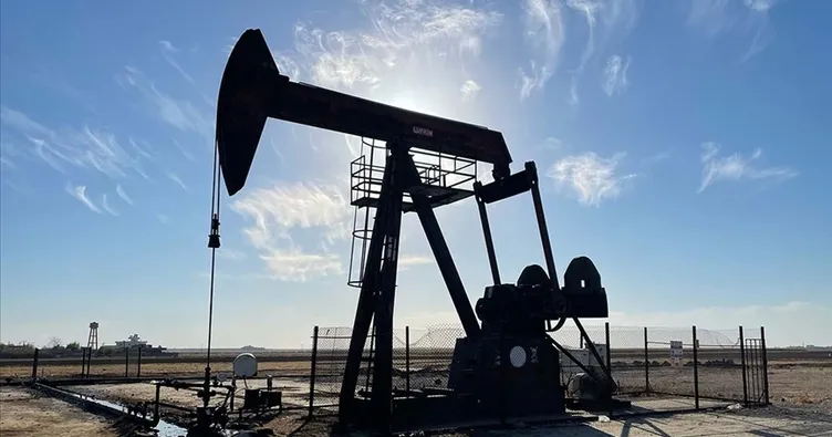 4 saha için petrol arama ruhsatı