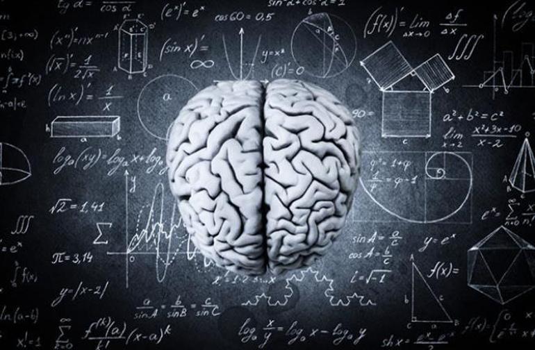 TC kimlik no ezberleme türüne göre zeka türleri nelerdir ve özellikleri neler