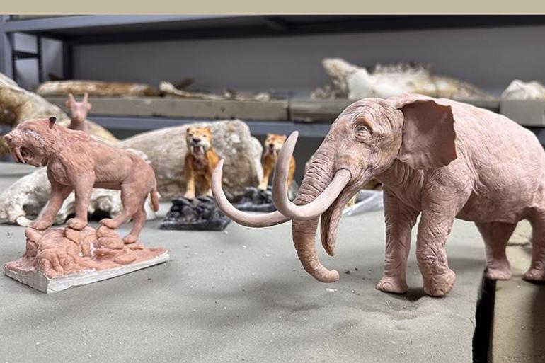 Kayseride bulunan dev hayvan fosillerinin minyatürleri yapılıyor